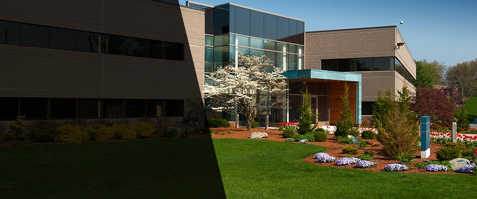 Brighton Landscapers